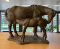 foto 3 Hont, Pieter d' (1917 - 1997)